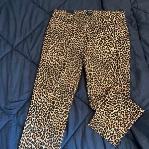 NWT JCrew Winnie Pants